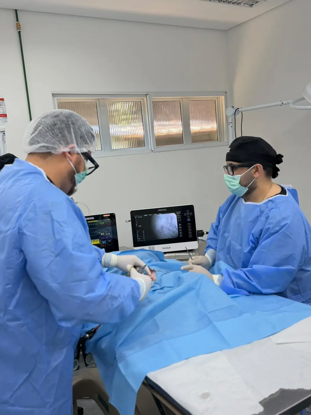 Equipe Pet Endoscopia em procedimento veterinário