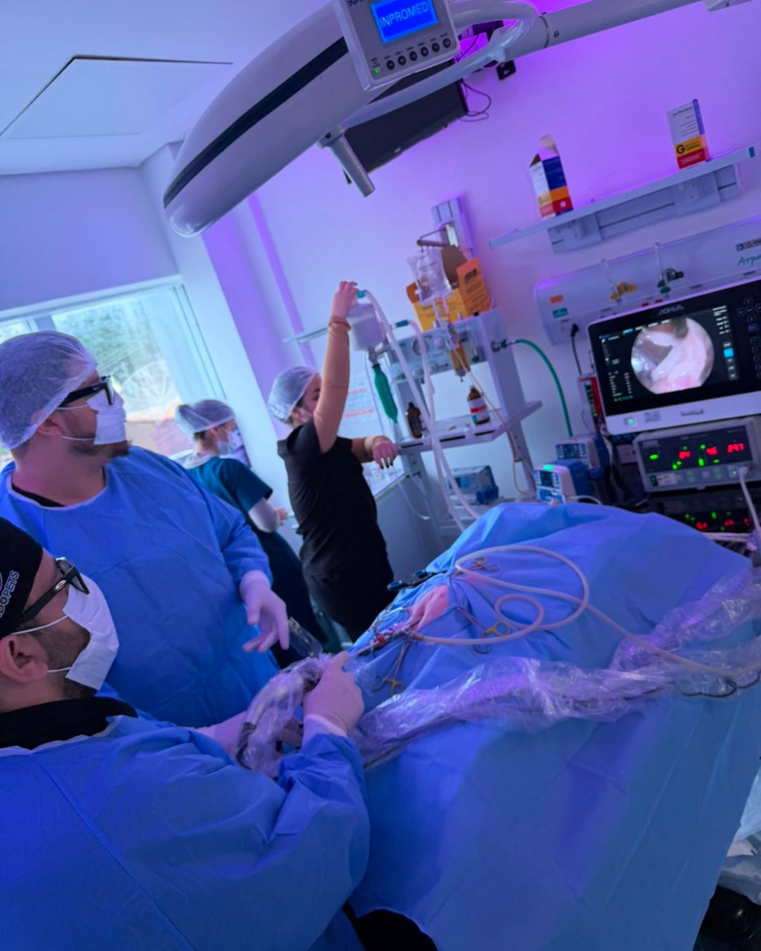 Equipe e estrutura durante procedimento de videocirurgia veterinária
